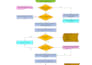 create process maps, flowcharts, and sipoc diagrams